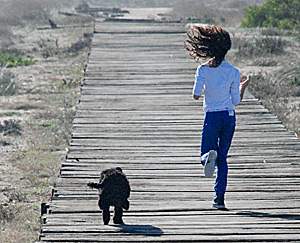 Exercise and Training of the Portuguese Water Dog