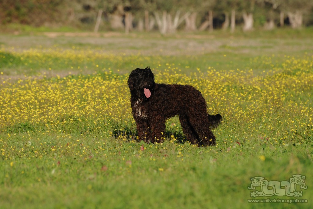 In the playground....