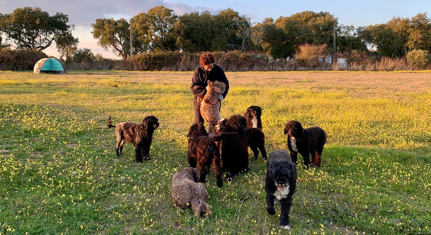 477949992_9722281107804063_141309071423970629_n